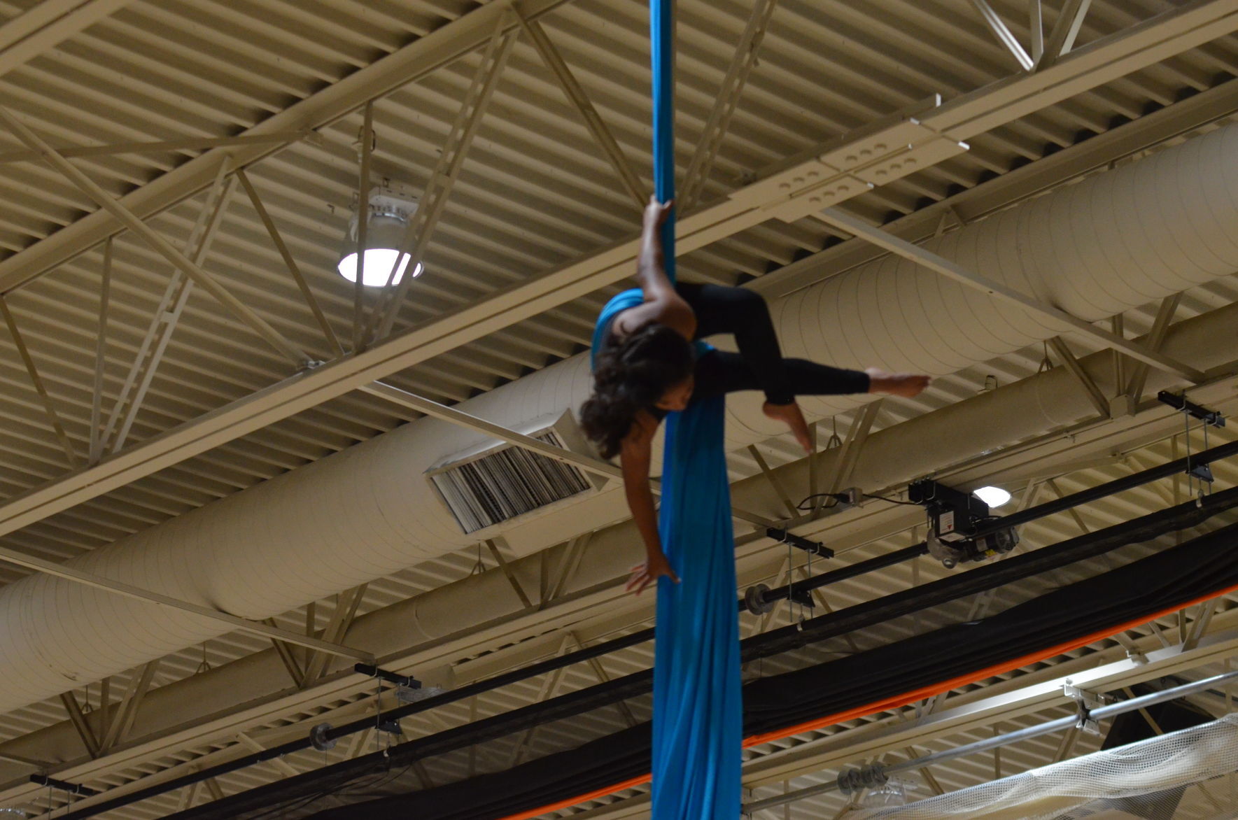 Williams Bay Aerial Acrobats